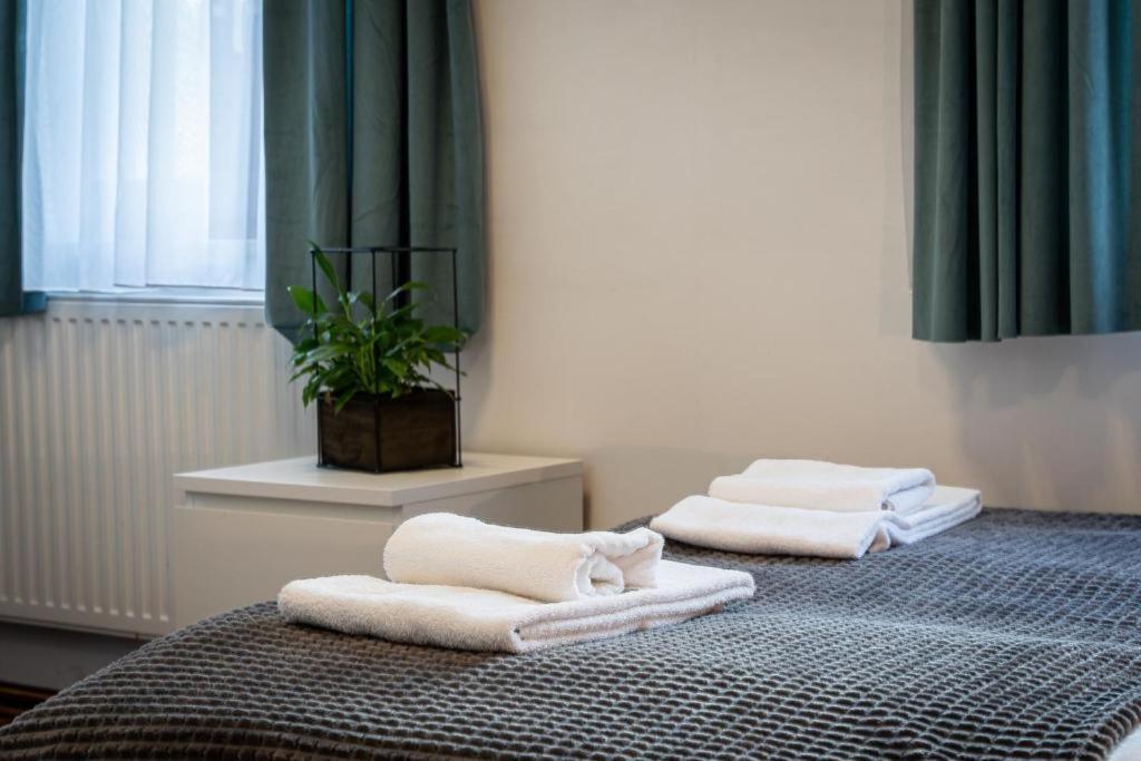 Great Polonia Dwarf Wroclaw Bed & Breakfast Exterior foto
